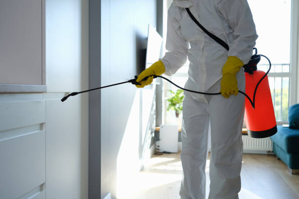 Best Mold Remediation for Healthcare Facilities  in Oswego, KS